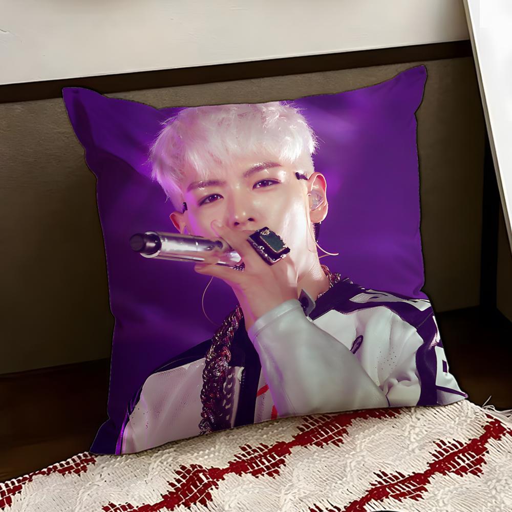 Singer TOP Cushion Cover Reversible Soft Durable Pillow Cover Home Car MultiScene Use for Daily Comfort