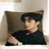 Huang Xing Eliot Huang D-Desire Pillow Case  Comfy Pillow Cover For Office Car Home Decor Cute Funny Cushion Cover