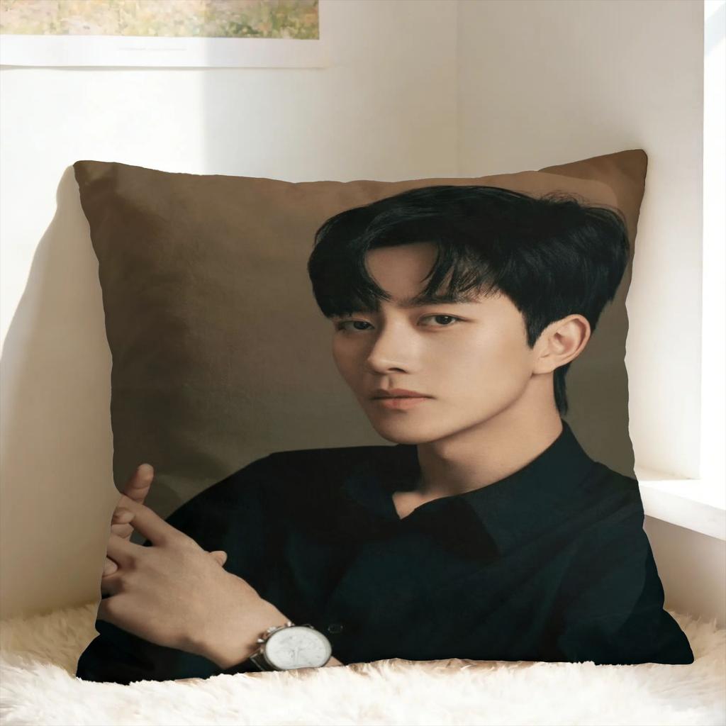 Huang Xing Eliot Huang D-Desire Pillow Case Comfy Pillow Cover For Office Car Home Decor Cute Funny Cushion Cover