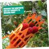 Strumento per la raccolta della frutta Raccoglitore per la raccolta della frutta in plastica per serra Dispositivo per la raccolta del giardino della fattoria Strumento per serre da giardino senza manico