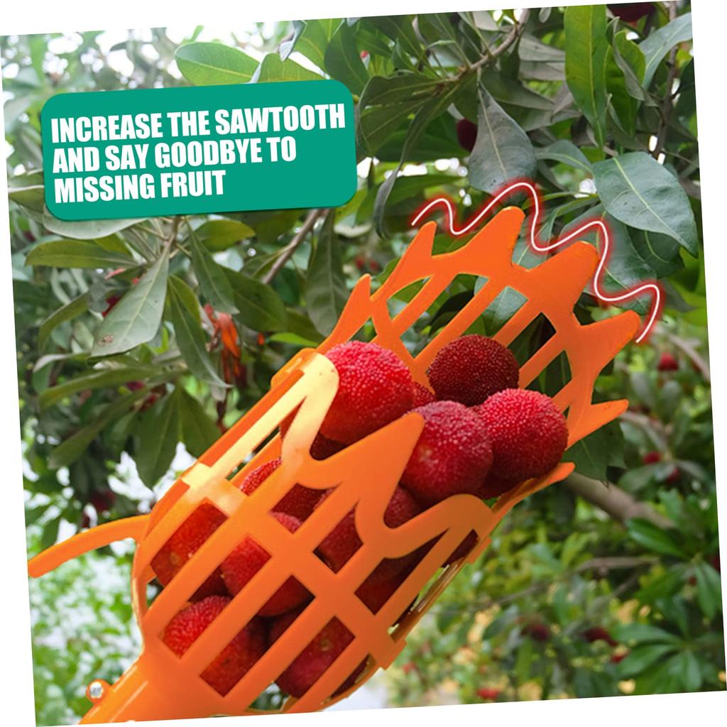 Strumento per la raccolta della frutta Raccoglitore per la raccolta della frutta in plastica per serra Dispositivo per la raccolta del giardino della fattoria Strumento per serre da giardino senza manico