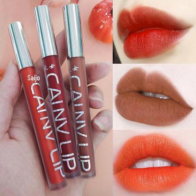 Non-transferable Lip Mud: Carrot, Pumpkin, Rotten Tomato, Earth, Plum True Orange Shades