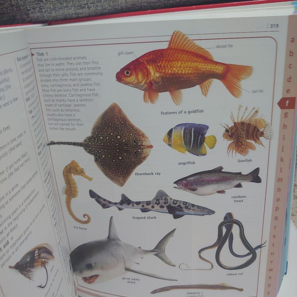 [USED] Foreign Books DK Merriam-Webster Children's Dictionary Hardcover 960 Pages