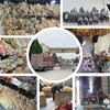 Shunran Dark Red Wine Artificial Wedding Flowers for Chinese Engagement Décor & Aisle Hanging Displays