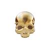 Pince Clip - Skull - Métal - Grande Taille - Légère - Design Contemporain