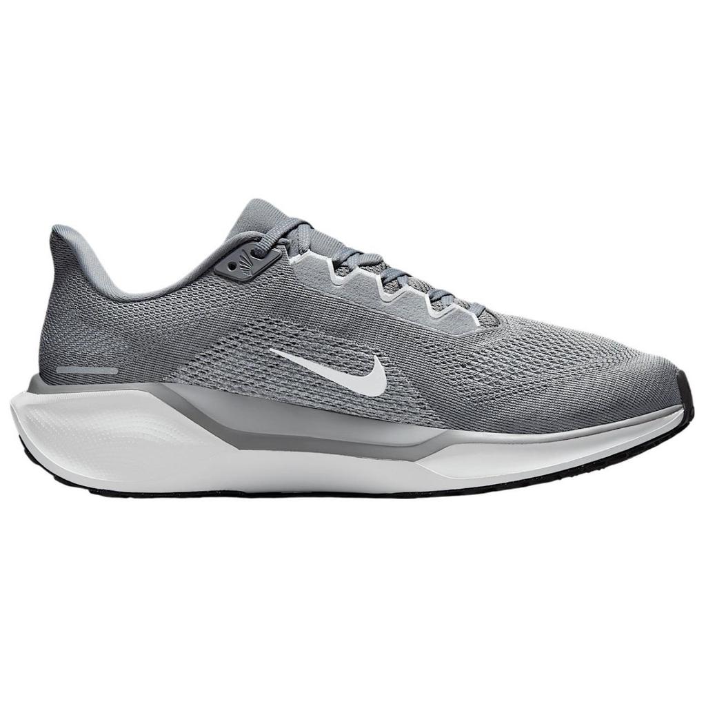 Nike Pegasus 41 Cool Grey Wolf Grey Pure Platinum White FD2722-009