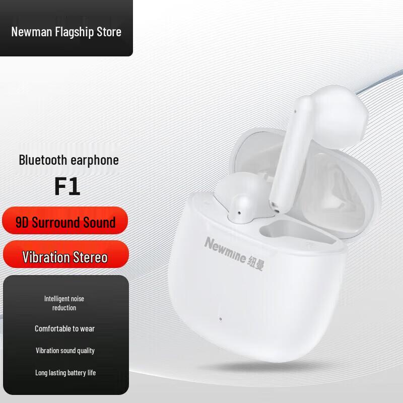 Newman TWS-F1 Semi-In-Ear Wireless Earbuds