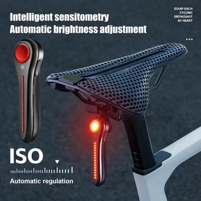 Fahrradrücklicht Einstellbar Typ-C Wiederaufladbar MTB Rennrad Mountainbike Sensor Bremsleuchte