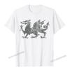 Welsh Flag Heraldry Dragon Welsh Soccer St Davids Day Wales TShirt Camisas Unisex 3D Printed Top TShirts For Adult Tops Tees