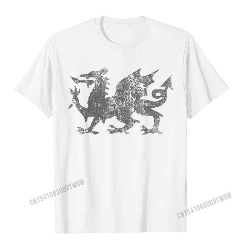 Welsh Flag Heraldry Dragon Welsh Soccer St Davids Day Wales TShirt Camisas Unisex 3D Printed Top TShirts For Adult Tops Tees