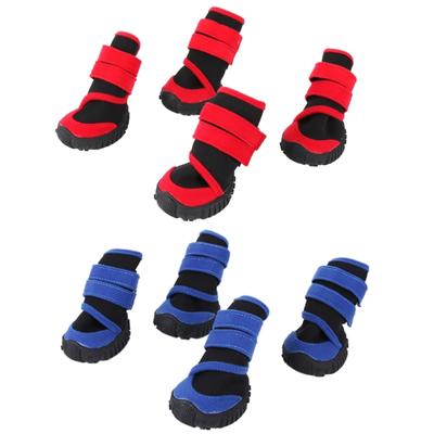 Bekleidung & Schuhe – Hundeschuhe