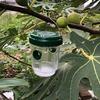 Yousheng 2/4Pcs Outdoor Hanging Wasp Trap Solar Powered Hornet Bee Catcher with UV LED Light Reusable Outside Garden Patio Yellow Jacket Trap Bottle