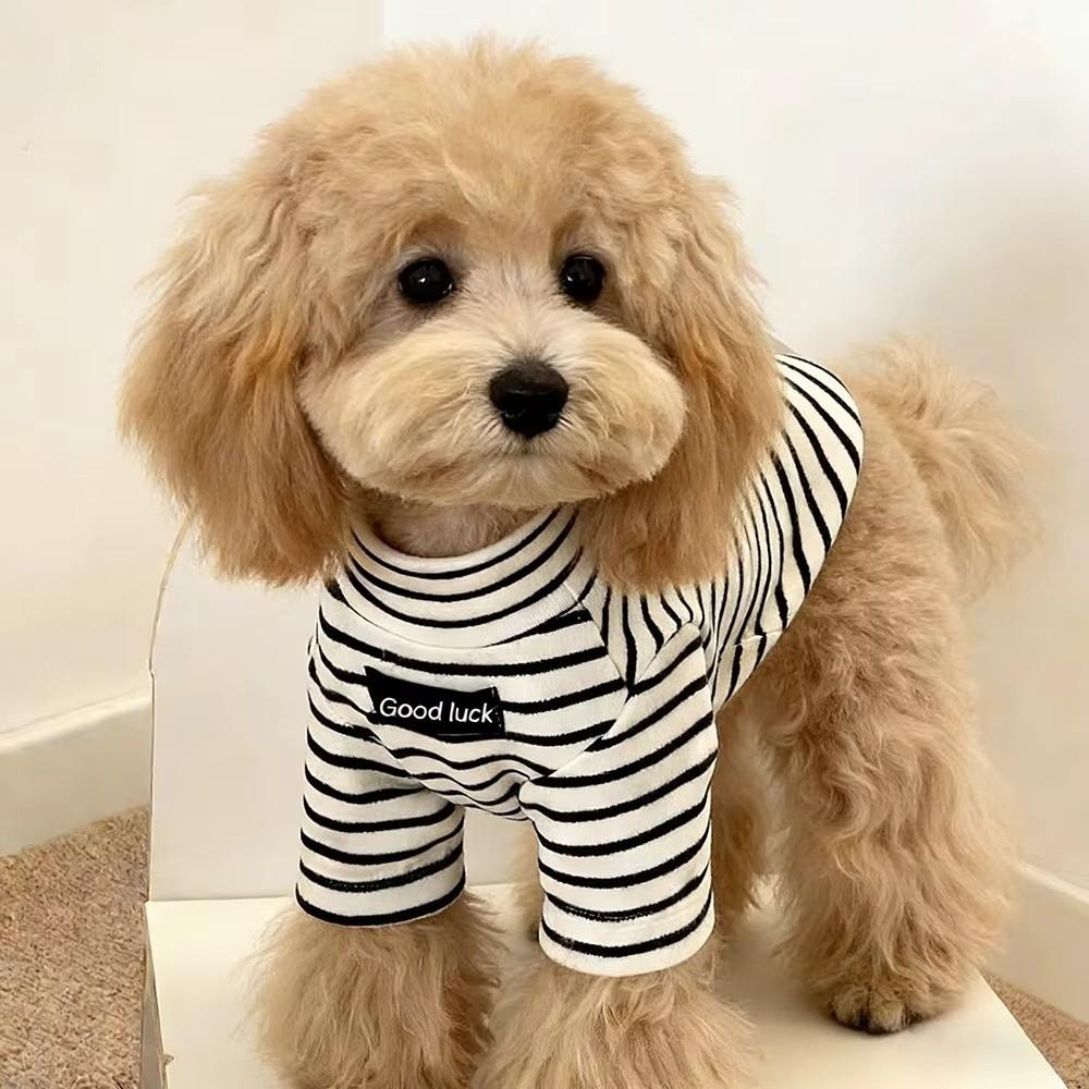 High Collar Dog Base Coat Soft Pet Warm Sweater Pet Apparel Striped Sweatshirt  Indoor Use