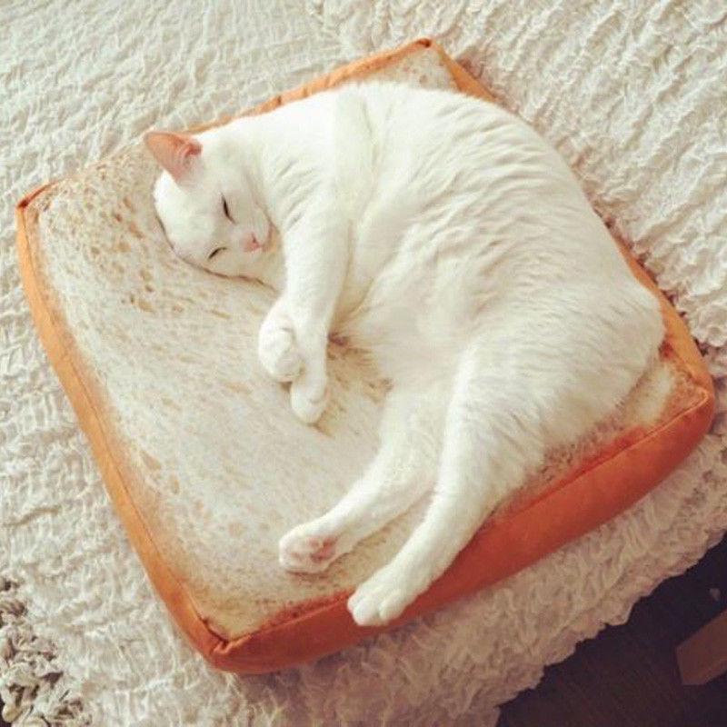 cat sandwich bed