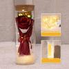 Everlasting Rose LED Glass Dome Bouquet Romantic Illuminated Ornament Perfect Valentine's Day Christmas Home Decor Romantic Gift