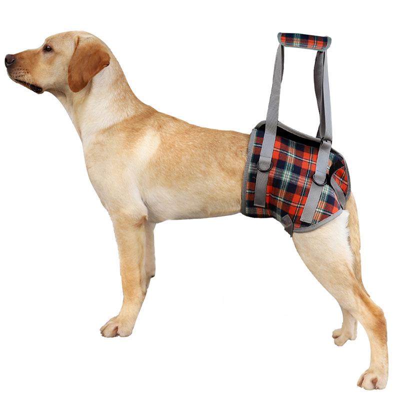 Pet Postoperative & Senior Dog Leg Support Brace