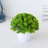 Beautiful Fake Plant Energetic No Withering Plastic Artificial Potted Plants Bonsai