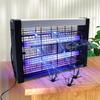 Powerful 2W 4W 6W Electronic Insect Killer, Led Night Lamp Bug Zapper, Fly Zapper, Mosquito Killer