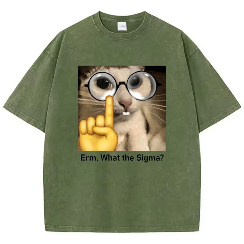 Funny Meme Cat T Shirt Vintage Washed Cotton T-Shirt  Graphic Tee Casual Streetwear Spring Summer Fall Top Tee