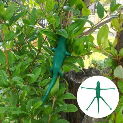 5 Pcs Frog Plant Stand Lizard-shaped Plant Fixture Clip Plant Stem Hugger Climbing Plants Support Structure for Small Potted Plants Succulents