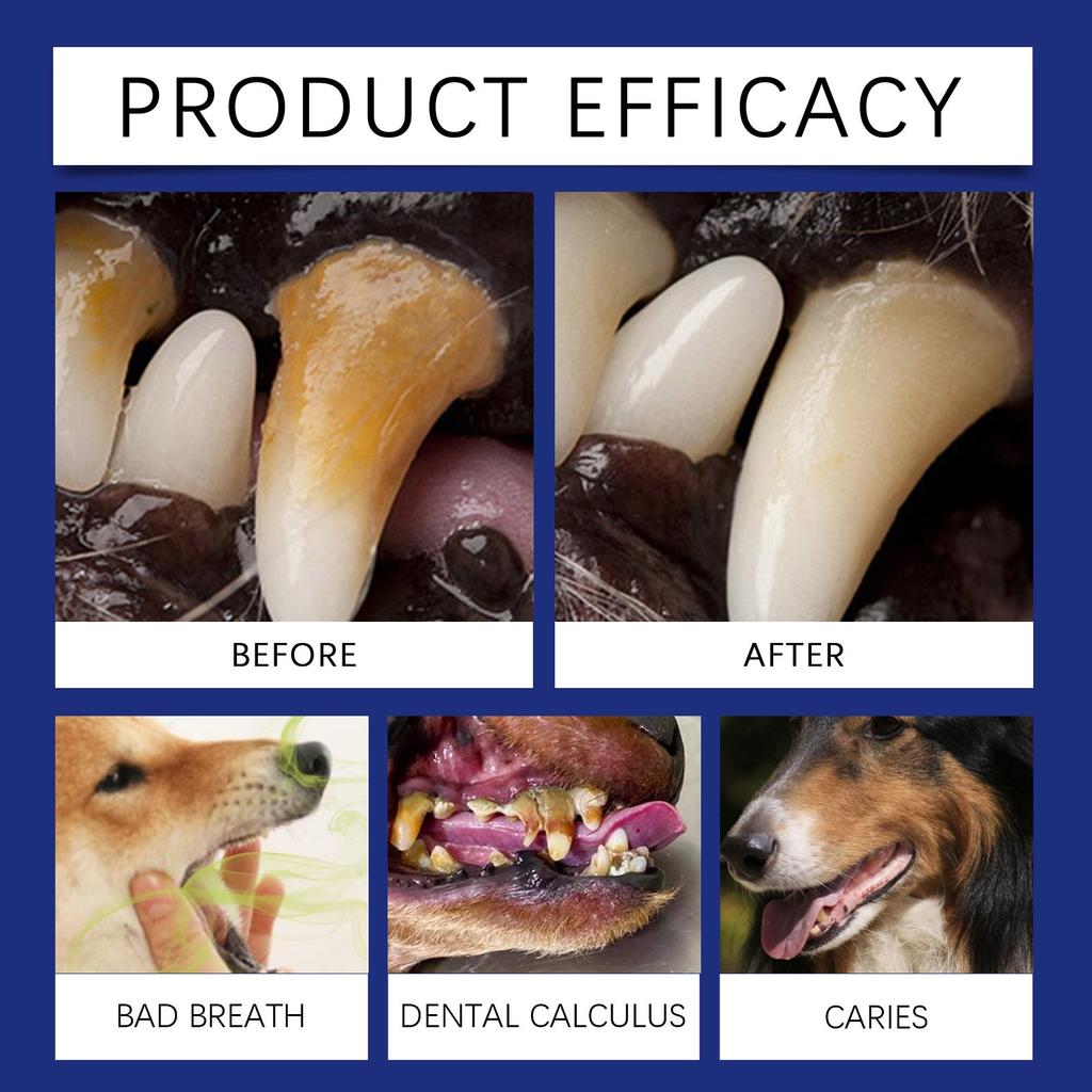 Rensepulver for kjæledyrtann, tartar, løser plakkproblemer, dårlig ånde og lindrer tannfølsomhet