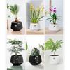 Split Type Meshpot Orchid Pot Thickening Moisturizing Root Control Flowerpot With Holes Butterfly Orchid Flowerpot