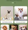 Thickened, Deodorizing Pet Training Pads - Absorbent, Leak-Proof, Disposable Dog & Cat Diapers