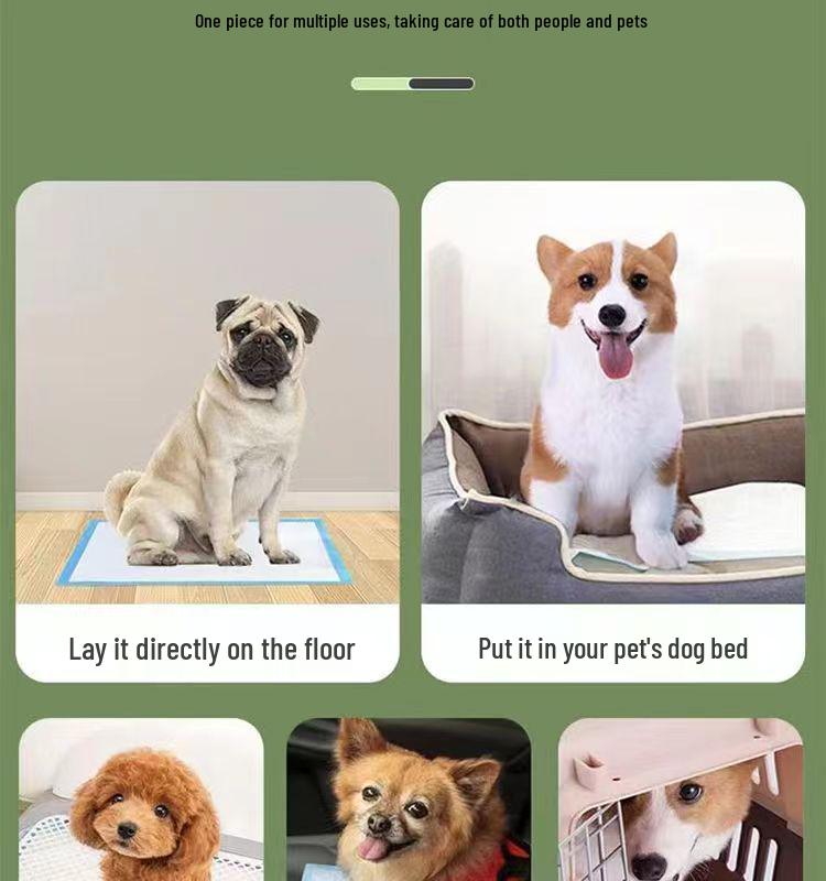 Thickened, Deodorizing Pet Training Pads - Absorbent, Leak-Proof, Disposable Dog & Cat Diapers