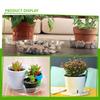 Plant Saucers 10 Inches 12 Inches 6 Inches 8 Inches