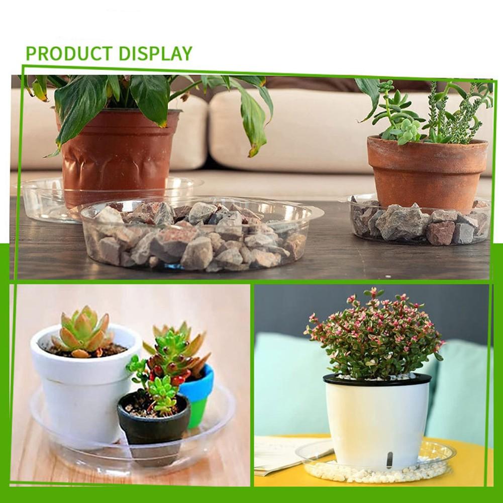 Plant Saucers 10 Inches 12 Inches 6 Inches 8 Inches