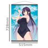 Please Wear It, Takamine-san B2 Tapestry Takamine Takamine School Swimsuit ver.