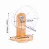 Transparent Hamster Exercise Wheel Wooden Stand Hamster Running Stand Pet Exercise Toy  Golden Bear