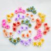 Bauhinia Flower Hair Claw Clip Acrylic Hair Clip 2024 Headwear  Hawaiian Hair Accessory