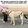 2025 Trend Protective Gear For Dog Tail Cover Adjustable For All Breeds Anti-Licking& Anti-Biting For Injury& Beauty Treatment M