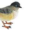 Miniature Birds Decor Animal Sculpture Simulation Bird Figurines Sparrow Figures for Bookshelf Home
