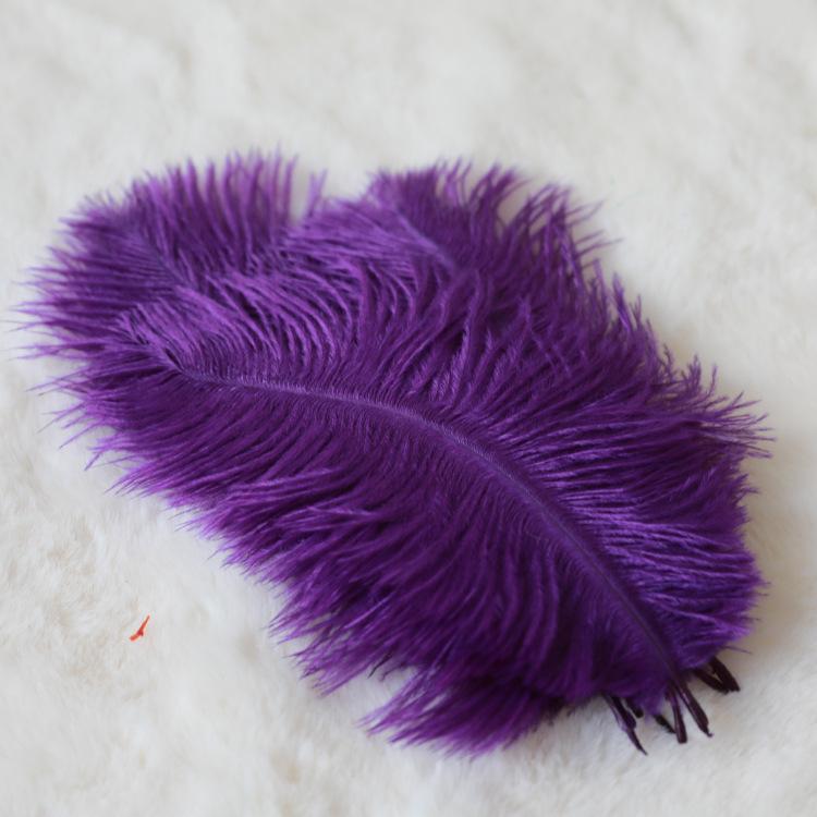 24 Colors 15-20Cm Ostrich Feather, Hotel Wedding Window Home Decoration Ostrich Feather