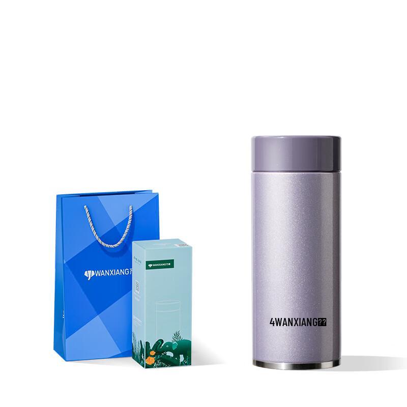 Compact 316 SS Insulated Water Bottle