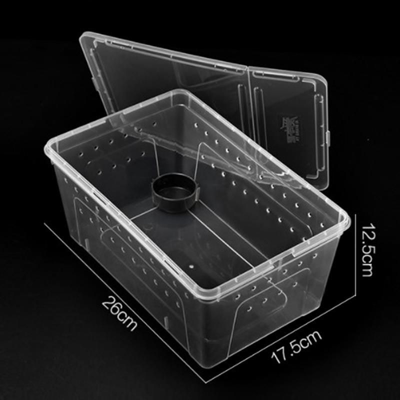 Box na plazy Kudlanka skákající Pavouk Morušový chov Box na odchov plazů