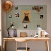 1 Pack with Adhesive Felt Bulletin Board Photo Display Pin Board Bulletin Board Tile  Classroom Dorm