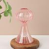 New Hydroponic Flower Bottle Transparent Glass Glass Vase Mushroom Aromatherapy Bottle Flower