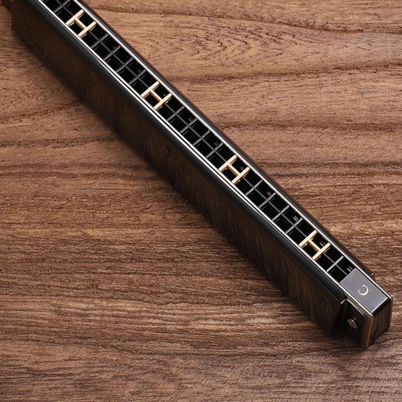 24-Hole Professional Harmonica for Beginner, Diatonic Double Tremolo Harmonica Fit for Adults Music Student Teacher Gift