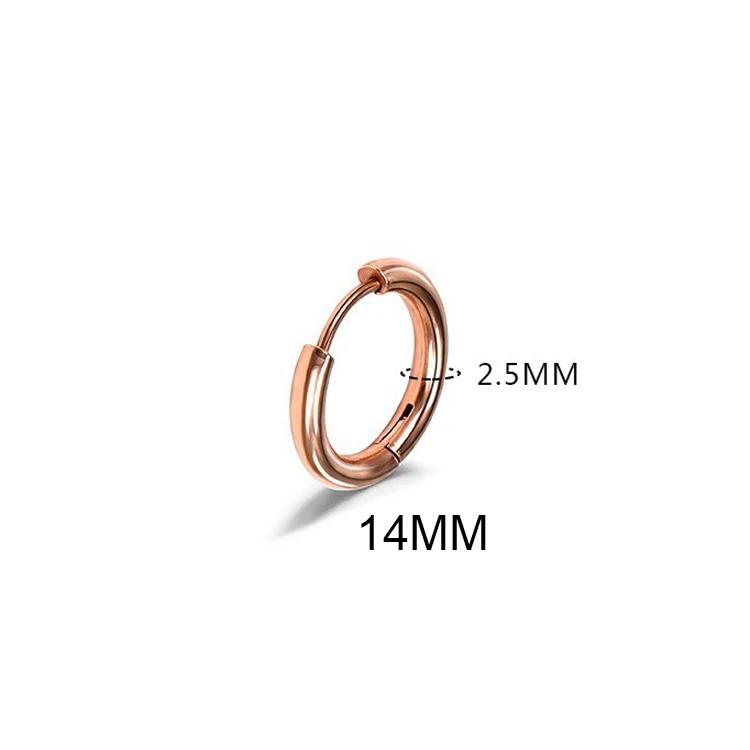 LATS 2024 New Simple Stainless Steel Small Hoop Earrings for Women Men 8mm To 20mm Round Cartilage Ear Piercing Fashion Zircon