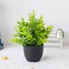 2Pcs New Small Fake Plant with Black Pot Eucalyptus Lavender Artificial Plants Faux Plants Home Garden Decor