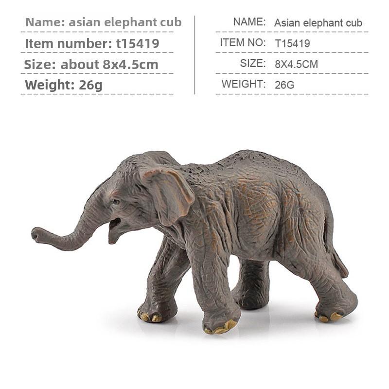 Squirrel Animal Model Set With Pvc Realistic Figures For Educational Play And Collecting Enthusiasts