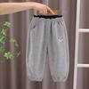Baby Toddler Boys Cute Dinosaur Pattern Sweatpants Loose Fit Elastic Waist Jogging Trousers With Pockets For Daily Wear