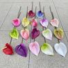 10ks Mini Anthurium Umělé Květiny Falešné Stonky Alokasie pro Svatbu Domácí Květinové Uspořádání Dekorace