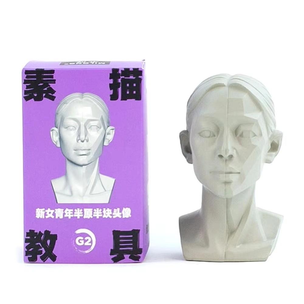 Still Life Ornament Planar Head Model Resin Skecthing Painting Sculpture  for Art Beginner
