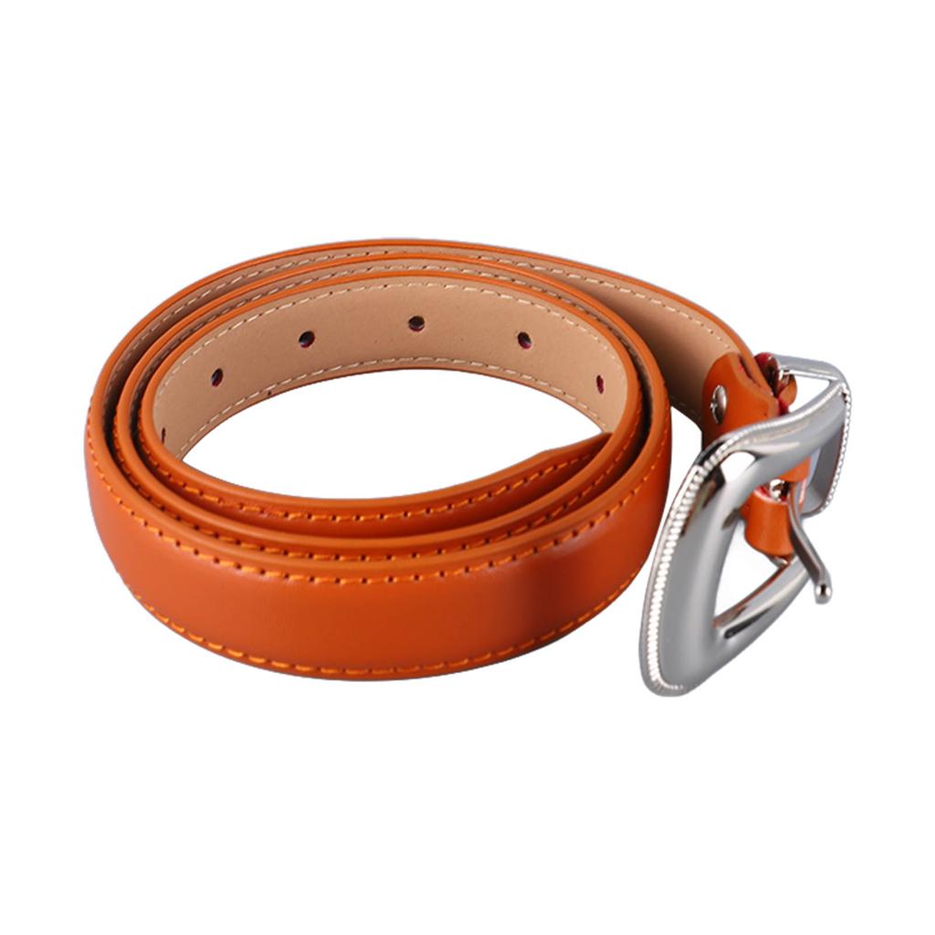 Waist Belt Ladies Fashion Leather Belt Alloy Buckle Waist Belt Clothing Accessories