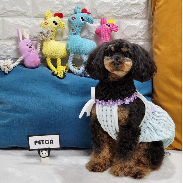 PETCA fournitures pour chien cerf tire-jouet couineur poupée 4 types, 1 ensemble