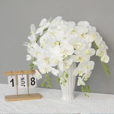 Künstliche Orchideenblüten Langstielige Realistische Phalaenopsis-Orchideen Keine Pflege Samtige Blütenblätter
